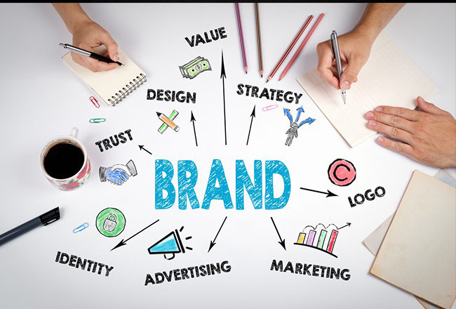 Brand & Corporate Identity - CSF Start Up